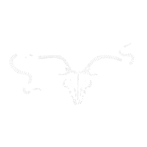 Merial