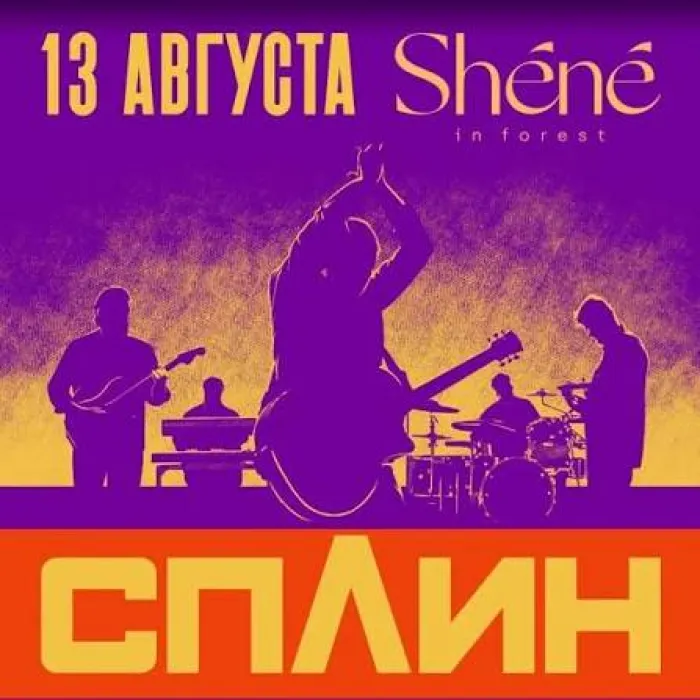 СПЛИН Shéné 16/8 Garni highway