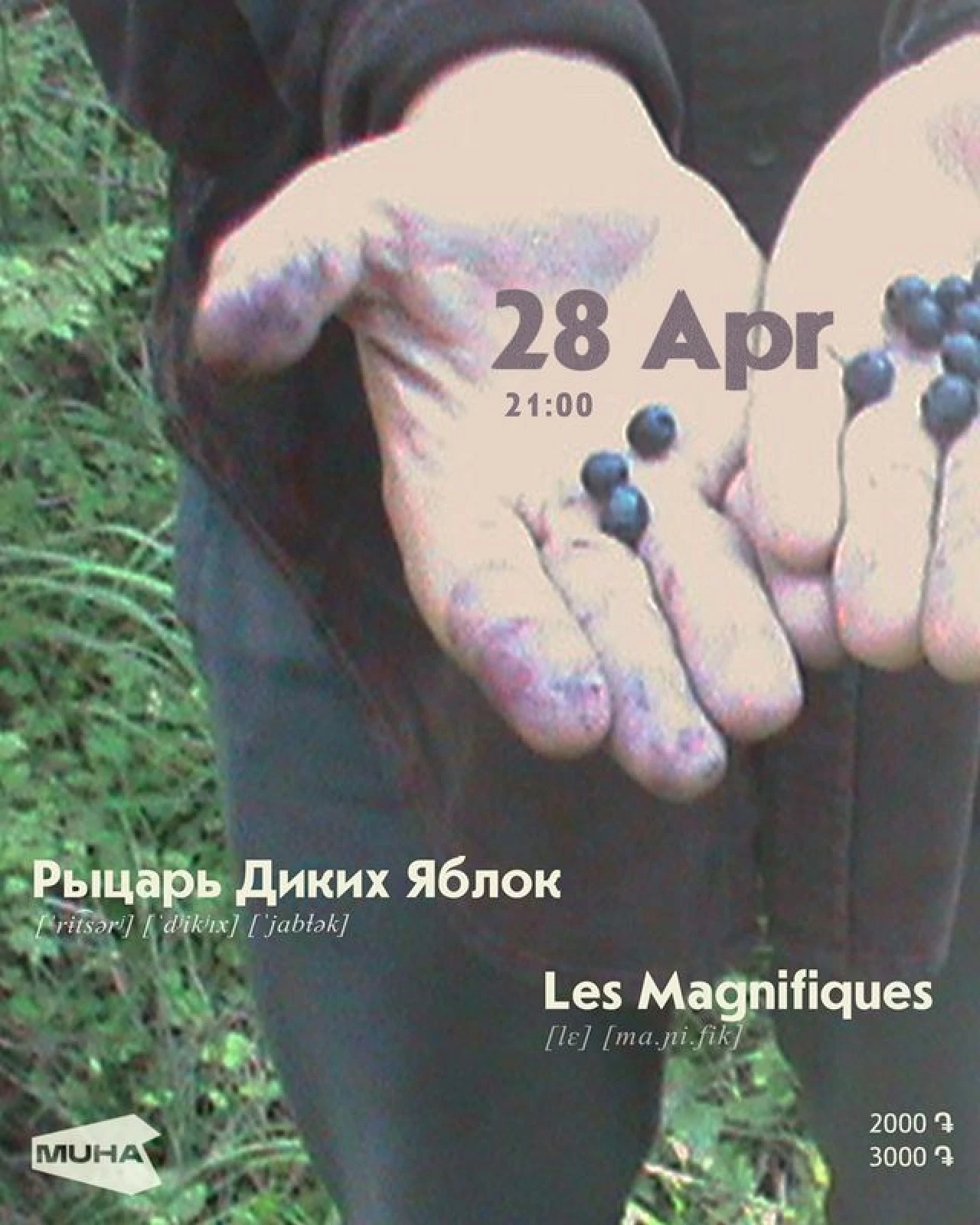 Рыцарь диких яблок & Les magnifiques MUHA 3 Marshal Baghramyan Ave, Yerevan