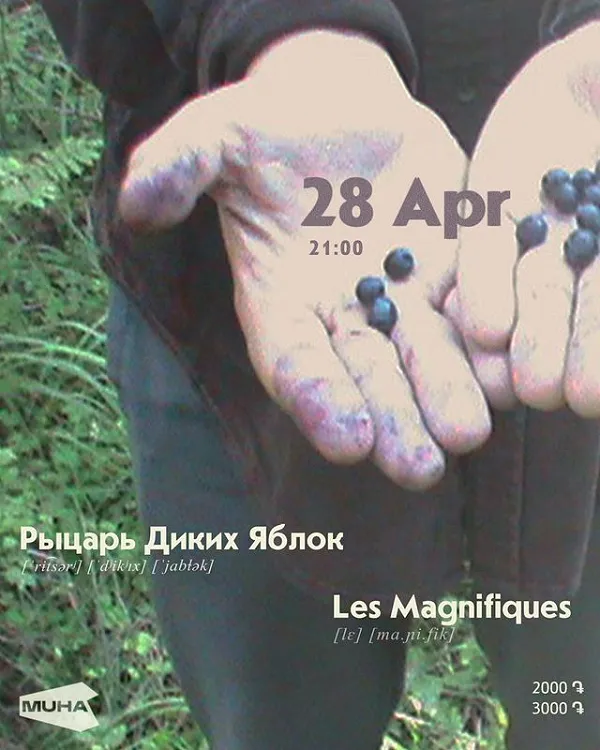 Рыцарь диких яблок & Les magnifiques