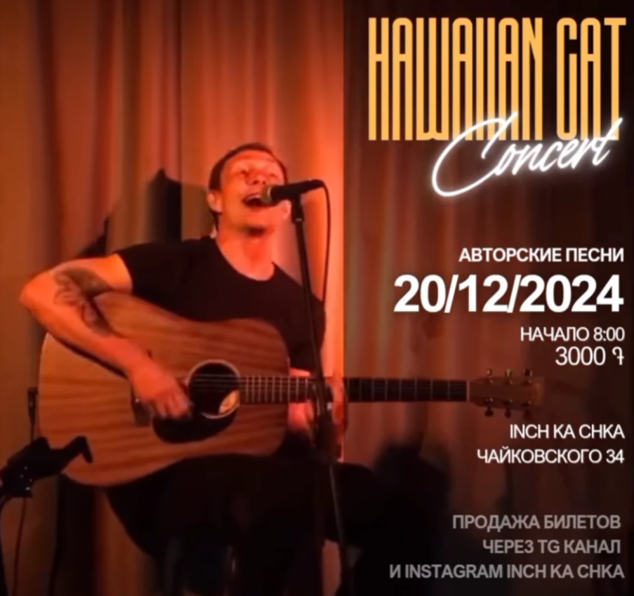 Кот Гавайский: Акустический квартирник 🎶 Inch Ka Chka Tchaikovsky, 34 Chaykovski St, Yerevan
