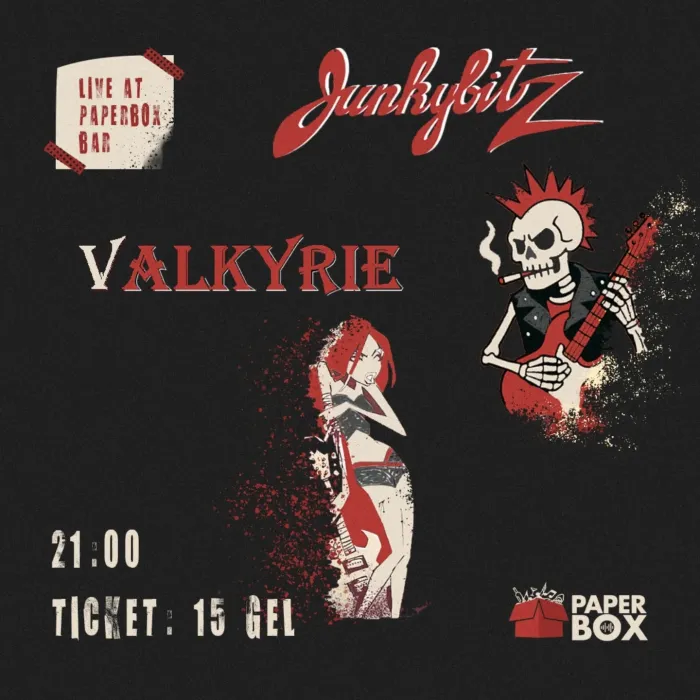 Valkyrie | JunkyBitz Paper Box Bar / ფეიფერ ბოქს ბარი 2 Aleqsandre Diuma St, Tbilisi, Georgia