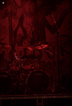 Loading image