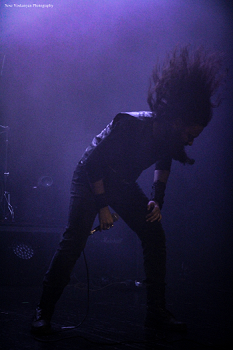 Loading image