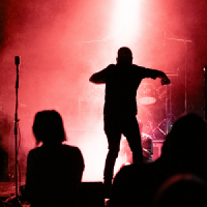 Loading image
