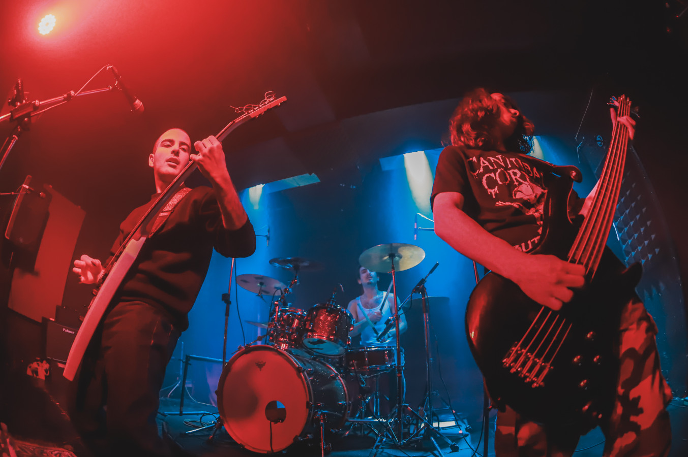 Bestial Invasion